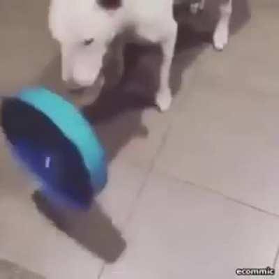 found this on discord