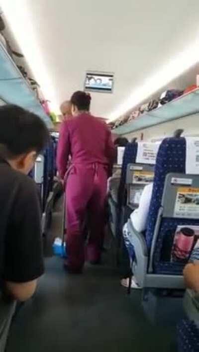 Old man in Chinese train goes crazy after janitor tells him to stop throwing seeds on train floor