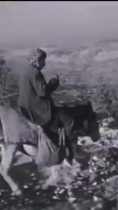 The tale of Tabbouleh.