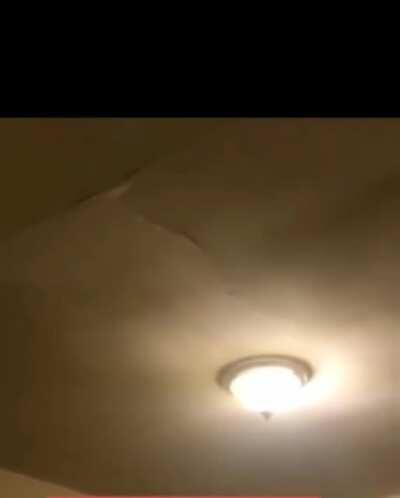 Beyler üst kata yeni evli çift taşındı , bu ne amk ?