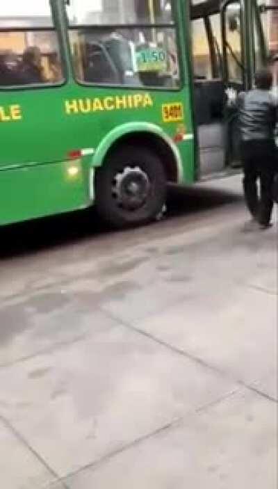 A safe place for a cat.