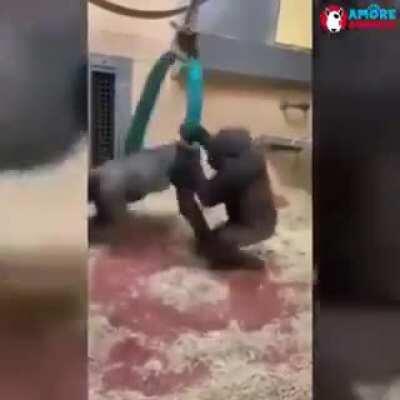 stres giderici video sınavdan 1 gün önce izleyin rahatlayın