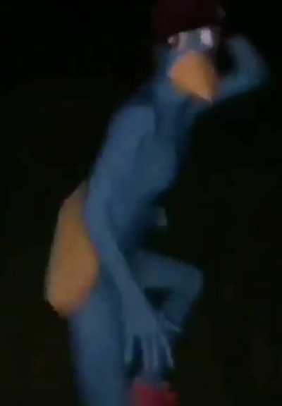 Blursed_perry the platypus