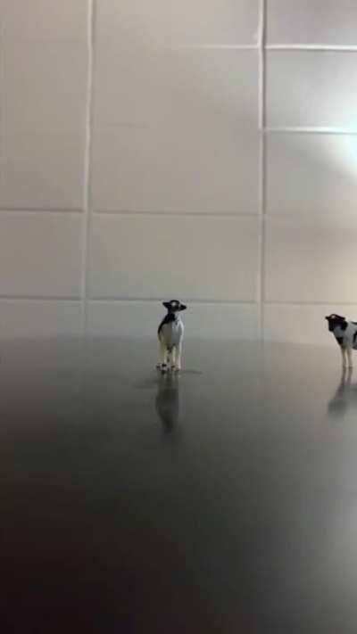 Animators showing off during quarantine