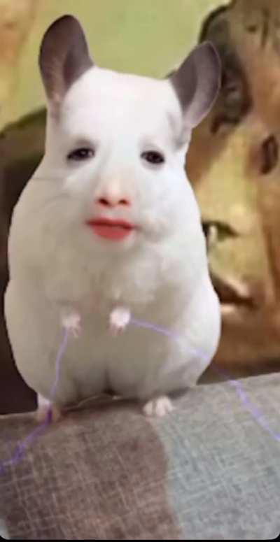 -()gffhha ahskv2’a ccccccc