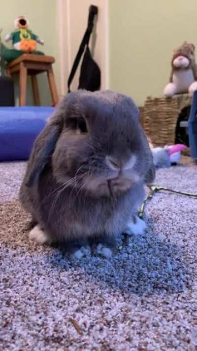 Gary: So full! Can’t fit another bite...Well...