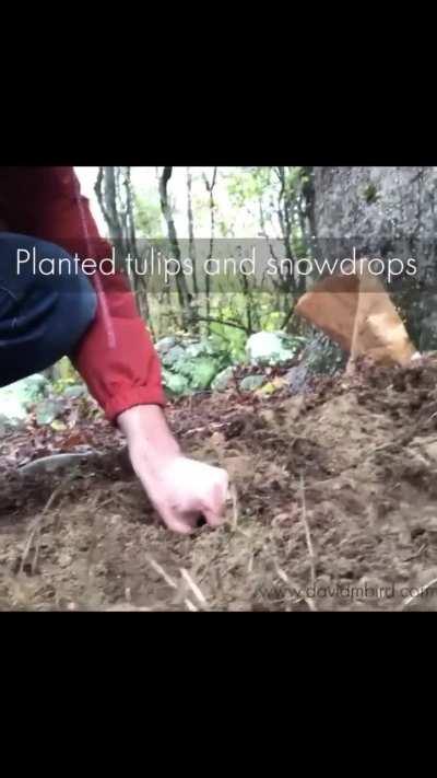 Little Stick people feeding birds