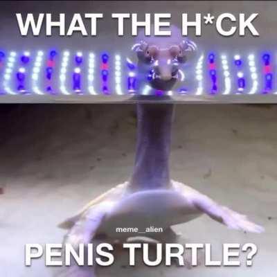 What the h*ck is going on