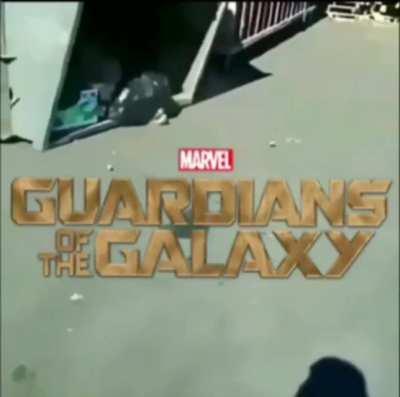 Helping a raccoon stuck in a dumpster