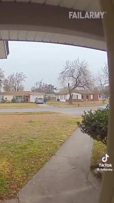 Squirrel just wanted the mans nuts