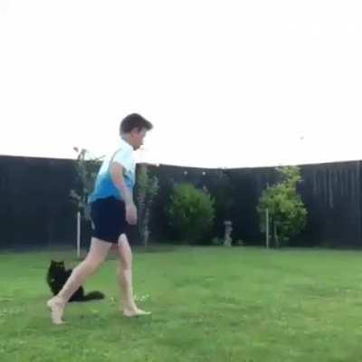 Cats are hard to impress