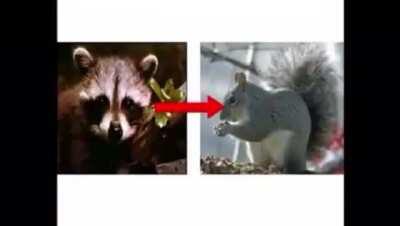 Sfaturi daca va cade paru'