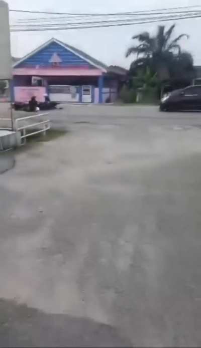 Boar causes motorcyclists to crash