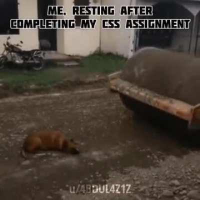 Trust me I'm a Backend cSs Expert