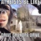 😱😱 Monkey drivin’ da car 😱😱