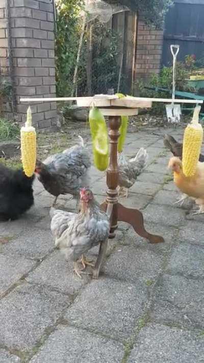 round and round we go!