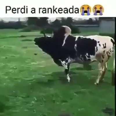 -57 pontos clã😪😪😪acione f