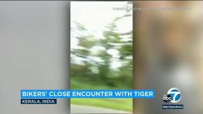 cameraman got that owl head perk