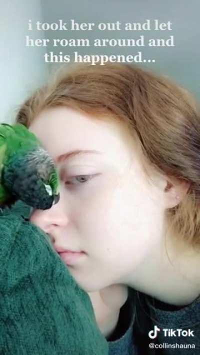 Any one else need some bird kisses right now?