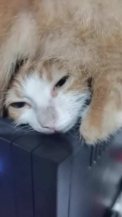 “You’re not gonna take my spot, bro”