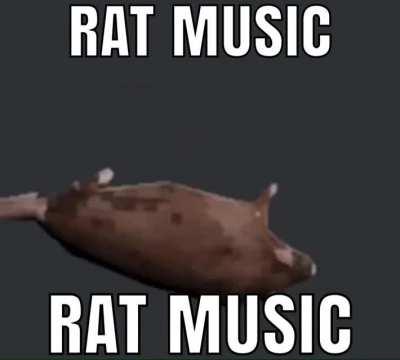 Rat moment