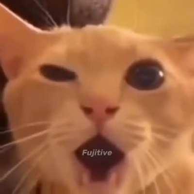 yo solo se que nada se (michael jackson)