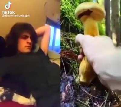 Blursed_mushroom