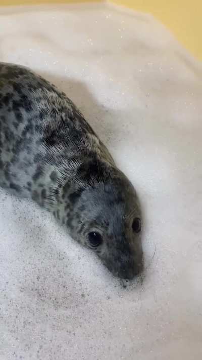 I just had to share this…I mean look at this lil’ guy 😭