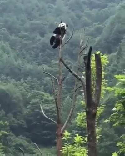 Отъипитесь все от меня