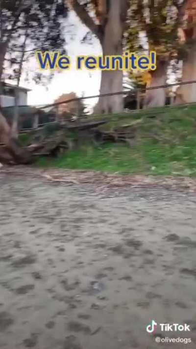 Who is cutting onions 😭