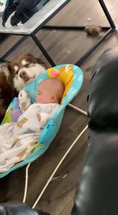 This is Bowser. He’s the designated baby bouncer for today. Doesn’t mind the responsibility because he’s quite good at it