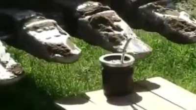 Amargo, retruco y que viva la Patria carajo!!