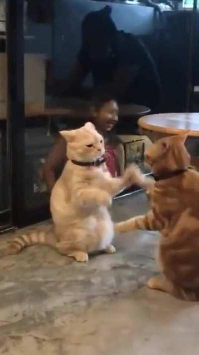 Sign Language Interpreters