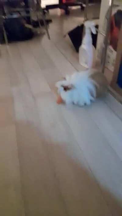 I'll take this ! Thank u !!