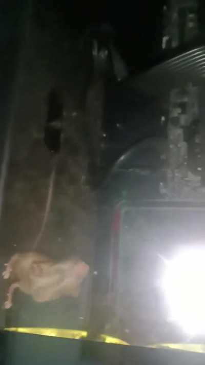 Alguém sabe se esse mouse gamer é bom?