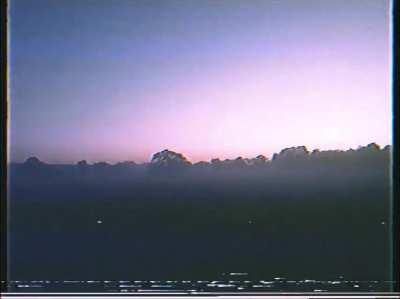 cursed_i_found_a_vhs_in_the_woods