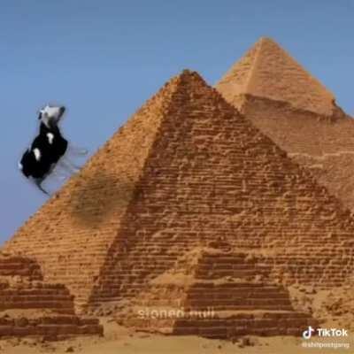 Tô rindo muito dessa porra