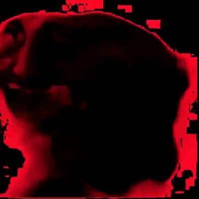 the last song you will hear