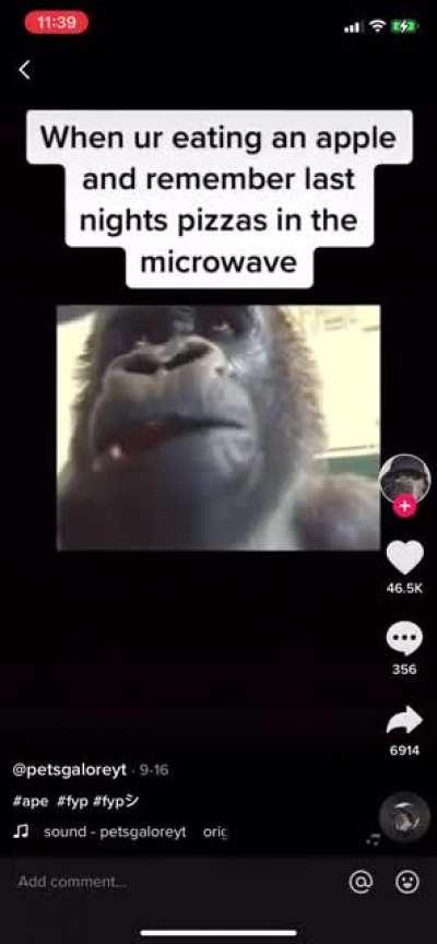 look at cartis only liked tik tok 😭