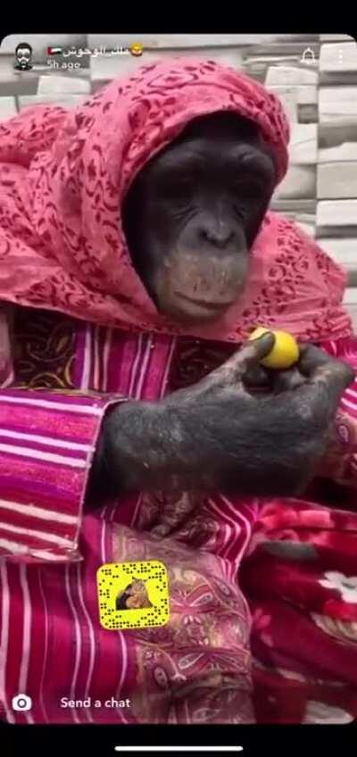 Enjoying Arabic coffee in Arabic style. (Credits to the owner)