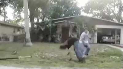 WCGW pogo stick backflip