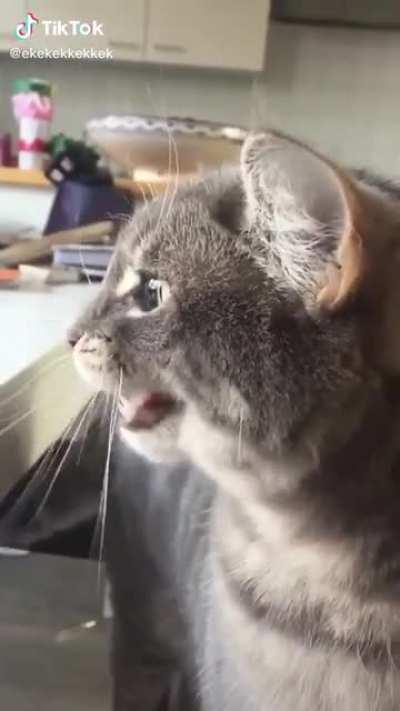 ekekekekekekek level 100