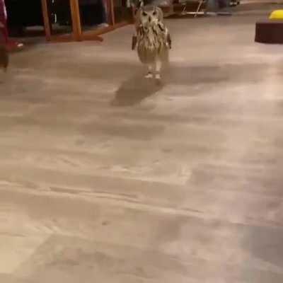 IS THAT A CUSTOMER? flop flop flop flop .... 