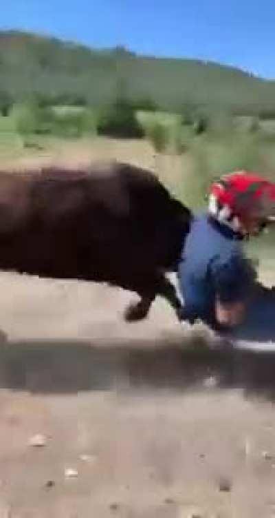 Catching a bull bare hand is no big deal for this man!