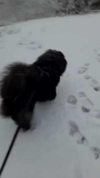 Zebani ile kar keyfi -2-