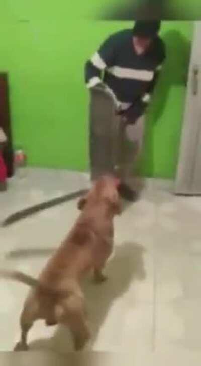 Just filming the guy who’s trying to not get his leg cut up