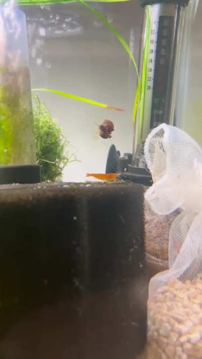 Hover mode activated