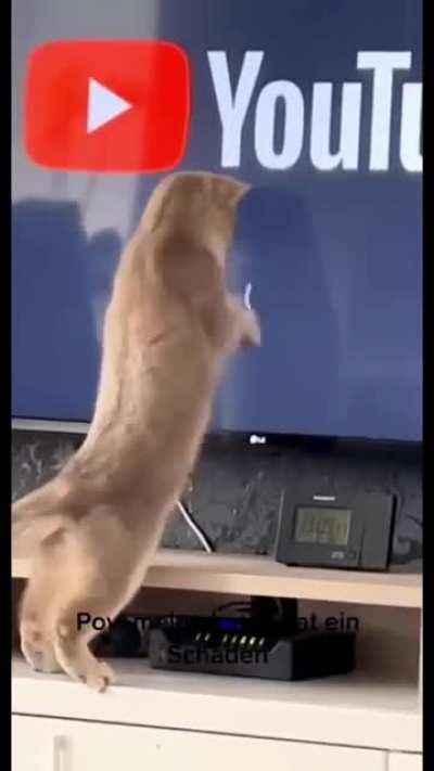 Load times are not up to the efficient standard common in Germany.