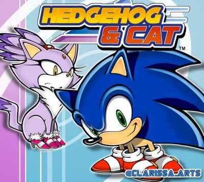 the hedgehog and cat meme but with a new day from sonic rush