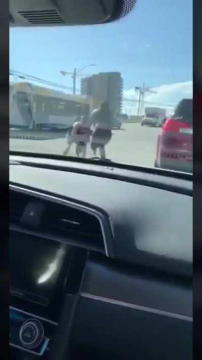 During Road Rage, POS Lady Steals Dog and Violently Swings Dog Around By the Collar At The Owner